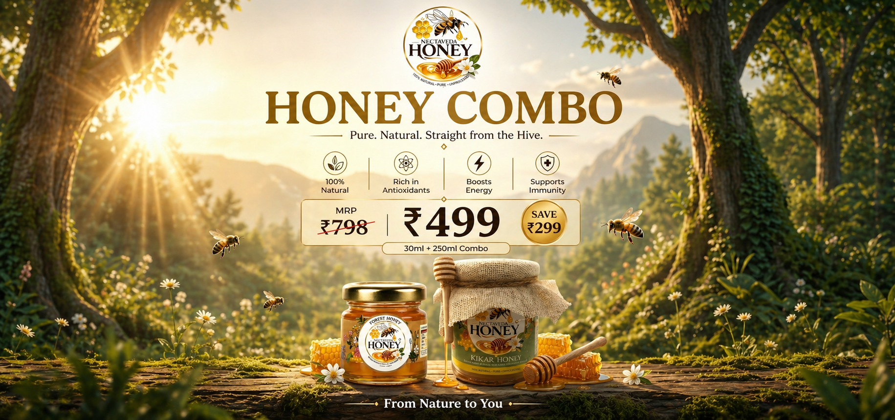 Promotional Banner