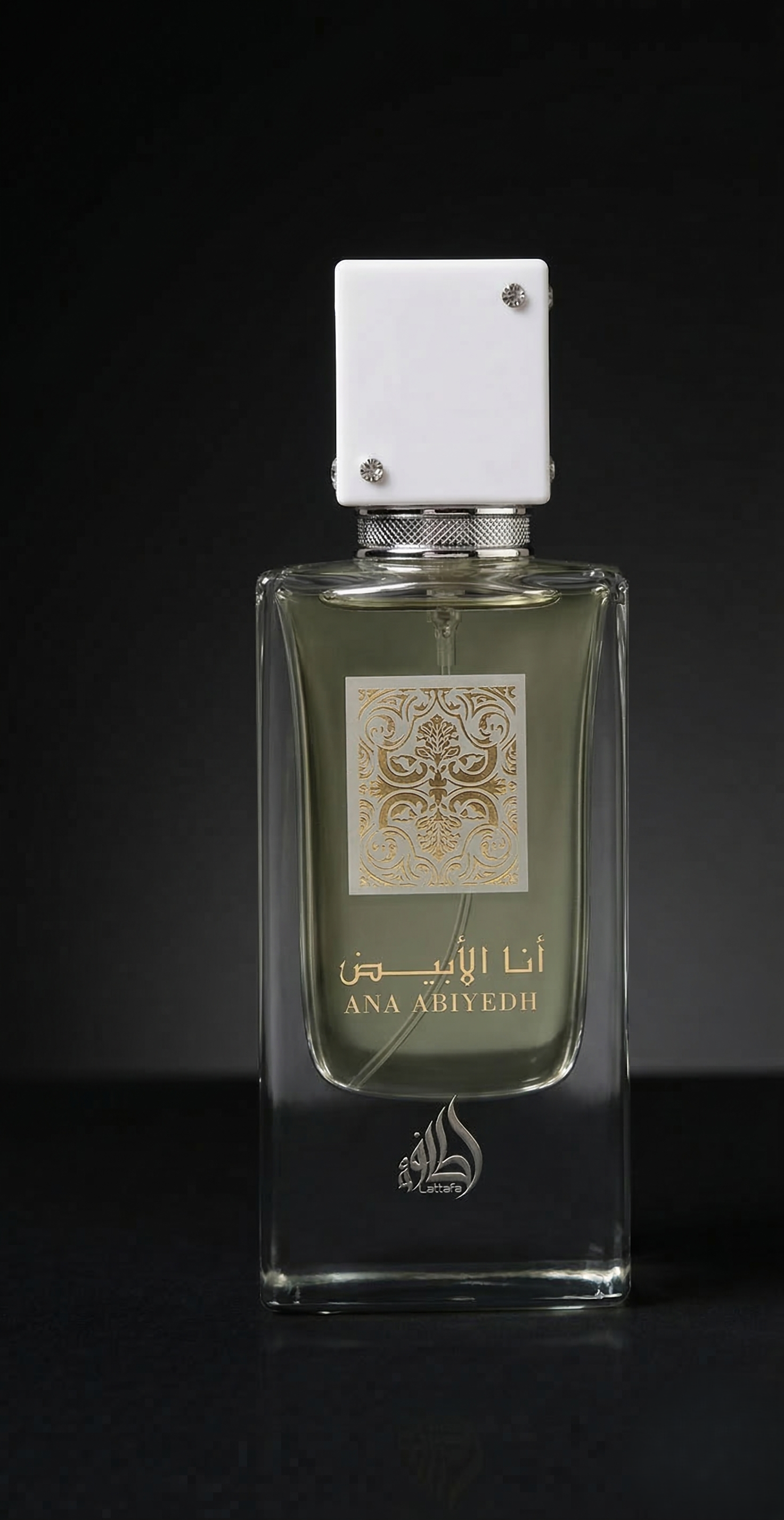 Ana Abiyedh | Sophisticated Fresh Musk Fragrance